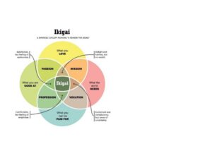 Ikigai for entrepreneurs